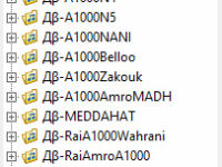 Set Algerian 2024 TOP